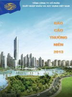 tổng công ty cổ phần xuất nhập khẩu  xây dựng việt nam vinaconex báo cáo thường niên 2013