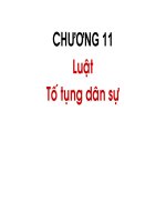 Chương 11: Luật tố tụng dân sự pps