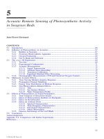 HANDBOOK OF SCALING METHODS IN AQUATIC ECOLOGY MEASUREMENT, ANALYSIS, SIMULATION - PART 2 ppt