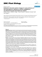 báo cáo khoa học: 