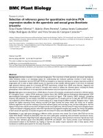 báo cáo khoa học: 