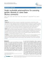 báo cáo khoa học: 