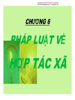 Chương 6: Pháp luật về hợp tác xã pps