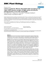 báo cáo khoa học: 