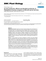 báo cáo khoa học: 