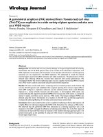 Báo cáo khoa học: 