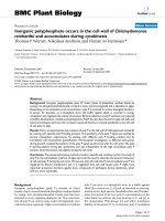 báo cáo khoa học: 