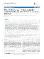 báo cáo khoa học: 