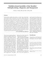 Sự bất ổn định đa chiều của vai: Sinh lý bệnh, chẩn đoán pptx