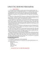 Tiểu luận real time PCR