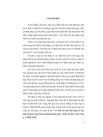 Tổ chức kế toán bán hàng và xác định kết quả trong doanh nghiệp thương mại – khảo sát thực tế tại công ty TNHH STM