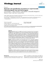 Báo cáo khoa học: 