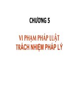 Chương 5: Vi phạm pháp luật trách nhiệm pháp lý pdf