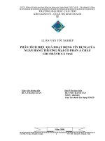 PHÂN TÍCH HIỆU QUẢ HOẠT ĐỘNG TÍN DỤNG CỦA NGÂN HÀNG THƯƠNG MẠI CỔ PHẦN Á CHÂU  CHI NHÁNH CÀ MAU