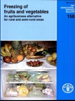 Freezing of fruit and vegetables docx