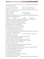 Bài số 5: Đại cương về kim loại pptx