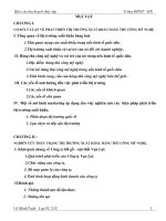 một số giải pháp phát triển thị trường xuất khẩu hàng thủ công mỹ nghệ tại công ty đồ gỗ – nội thất vạn lợi