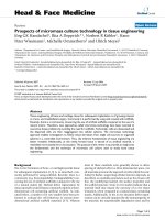 báo cáo khoa học: