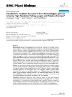 báo cáo khoa học: 