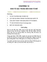 Chương 12: Kinh tế học trong nền kinh tế mở pot