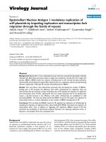 Báo cáo khoa học: 