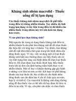 Kháng sinh nhóm macrolid - Thuốc uống dễ bị lạm dụng pps