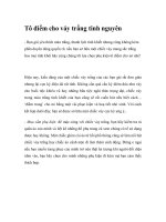 Tô điểm cho váy trắng tinh nguyên pptx