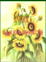 Bài giảng điện tử môn sinh học: Hoa và sinh sản hữu tính pps