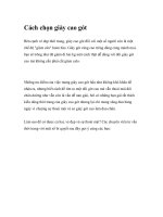 Cách chọn giày cao gót pdf