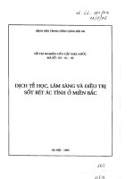 Dịch tễ học lâm sàng và điều trị sốt rét án tính ở miền Bắc