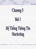 Bài giảng điện tử môn tin học: Hệ Thống Thông Tin Marketing potx