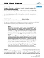 báo cáo khoa học: 