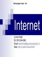 Bài giảng điện tử môn tin học: Internet ppt