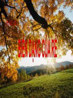 Bài giảng điện tử môn sinh học: Biến dạng của rễ pot