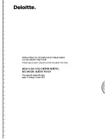 tổng công ty cổ phần xuất nhập khẩu  xây dựng việt nam vinaconex báo cáo tài chính riêng đã được kiểm toán cho năm kết thúc ngày 31 tháng 12 năm 2013