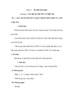 Phần V:DI TRUYỀN HỌC pps