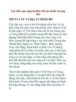 Cây dừa cạn, nguyên liệu chế tạo thuốc trị ung thư doc