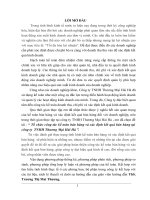 tổ chức công tác kế toán bán hàng và xác định kết quả bán hàng tại công ty  tnhh thương mại hải hà