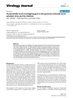 Báo cáo khoa học: 