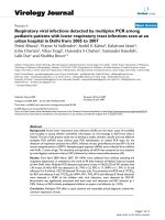 Báo cáo khoa học: 