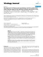 Báo cáo khoa học: 