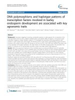 báo cáo khoa học: 