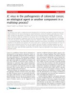 Báo cáo khoa học: 