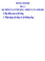 giáo án bồi dưỡng sinh học 6 mở đầu sinh học