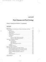 Structure and Function in Agroecosystem Design and Management - Chapter 9 pot