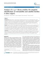 báo cáo khoa học: 