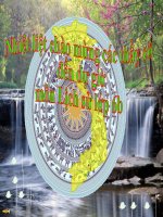 Bài giảng điện tử môn lịch sử: Nước ta thời kỳ bị đô hộ potx