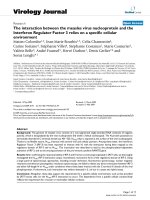 Báo cáo khoa học: