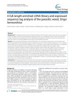 báo cáo khoa học: 