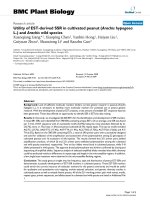 báo cáo khoa học: 